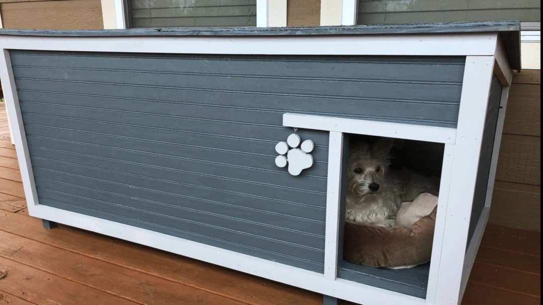 Diy insulated dog door best sale