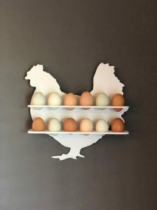 diy chicken egg holder for wall 01