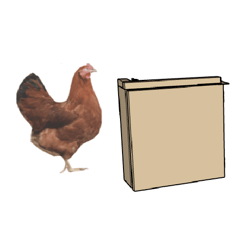 Automatic Chicken Door Closed