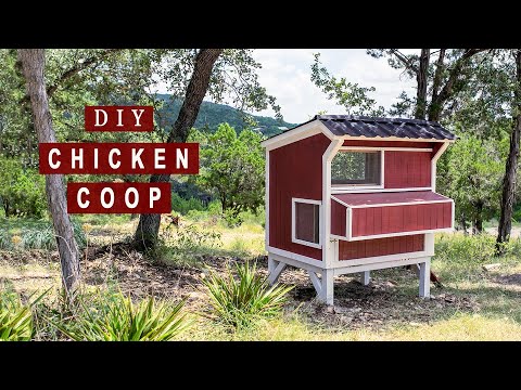 diy backyard chicken coop 5