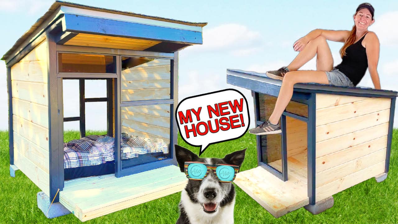 How To Build A Dog House In 8 Easy Steps!