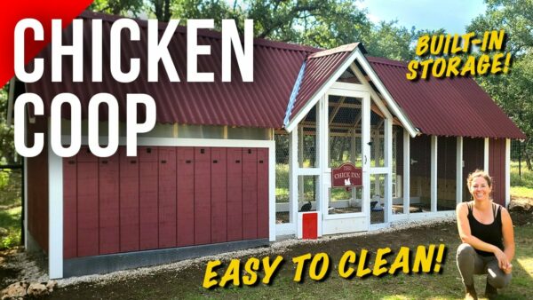 how to build a big chicken coop